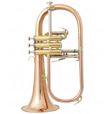 Флюгельгорн Bach FH-501 студенческий